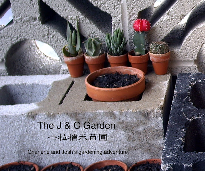 The J & C Garden