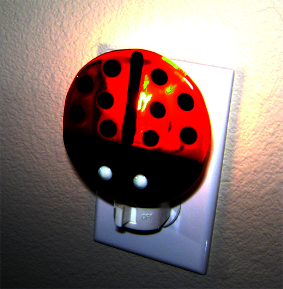 [Ladybug+copy.jpg]