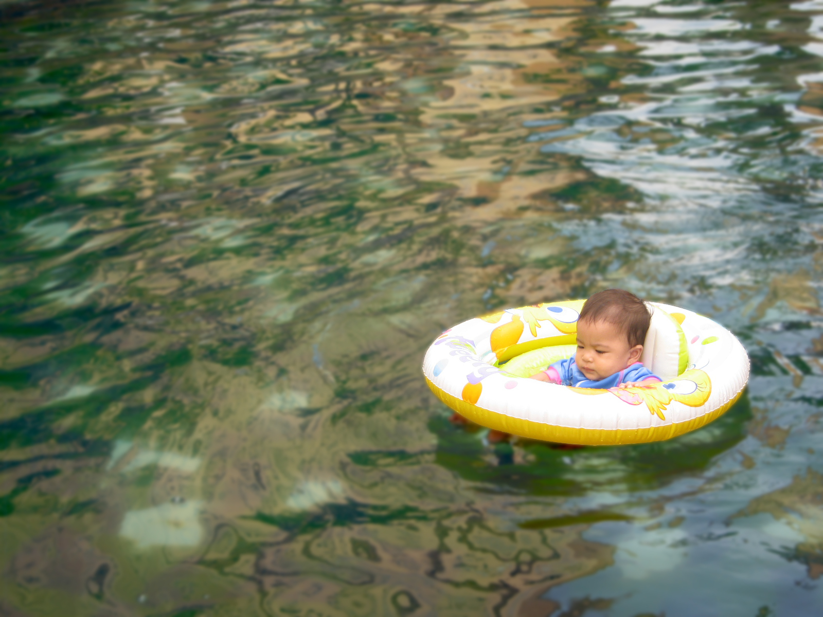 [Lil+BAby+alone+in+the+pond.jpg]