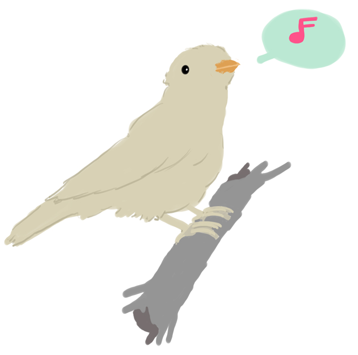 [bird.jpg]