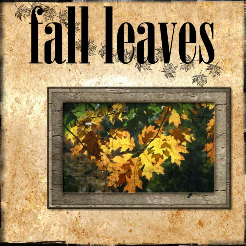 [Fall-Leaves-000-Page-1.jpg]