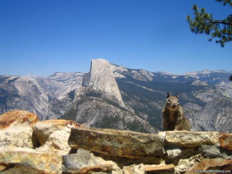[Yosemite.jpg]