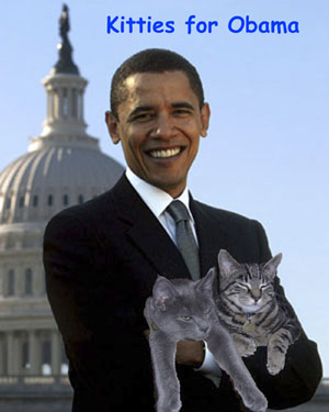 [kitties_for_obama_lo_res.jpg]