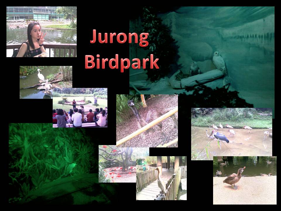 [jurong+birdpark.jpg]