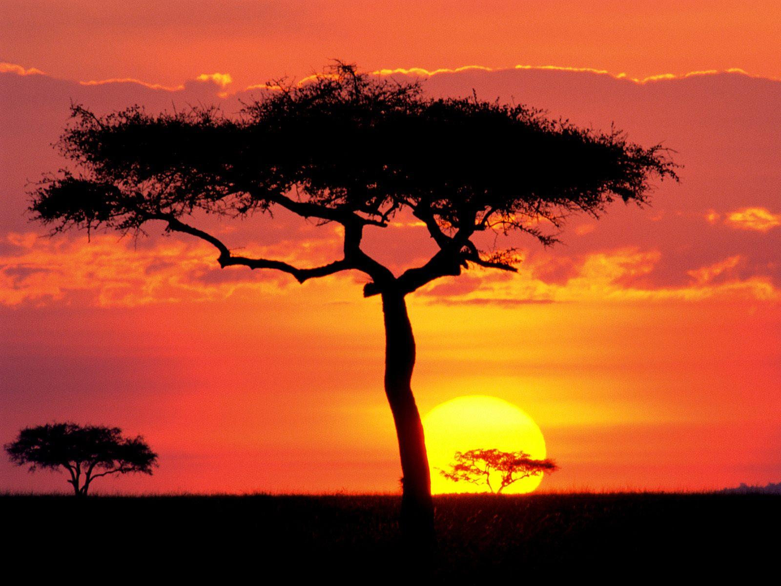 [Masai+Mara+Game+Reserve+at+Sunset,+Kenya.jpg]