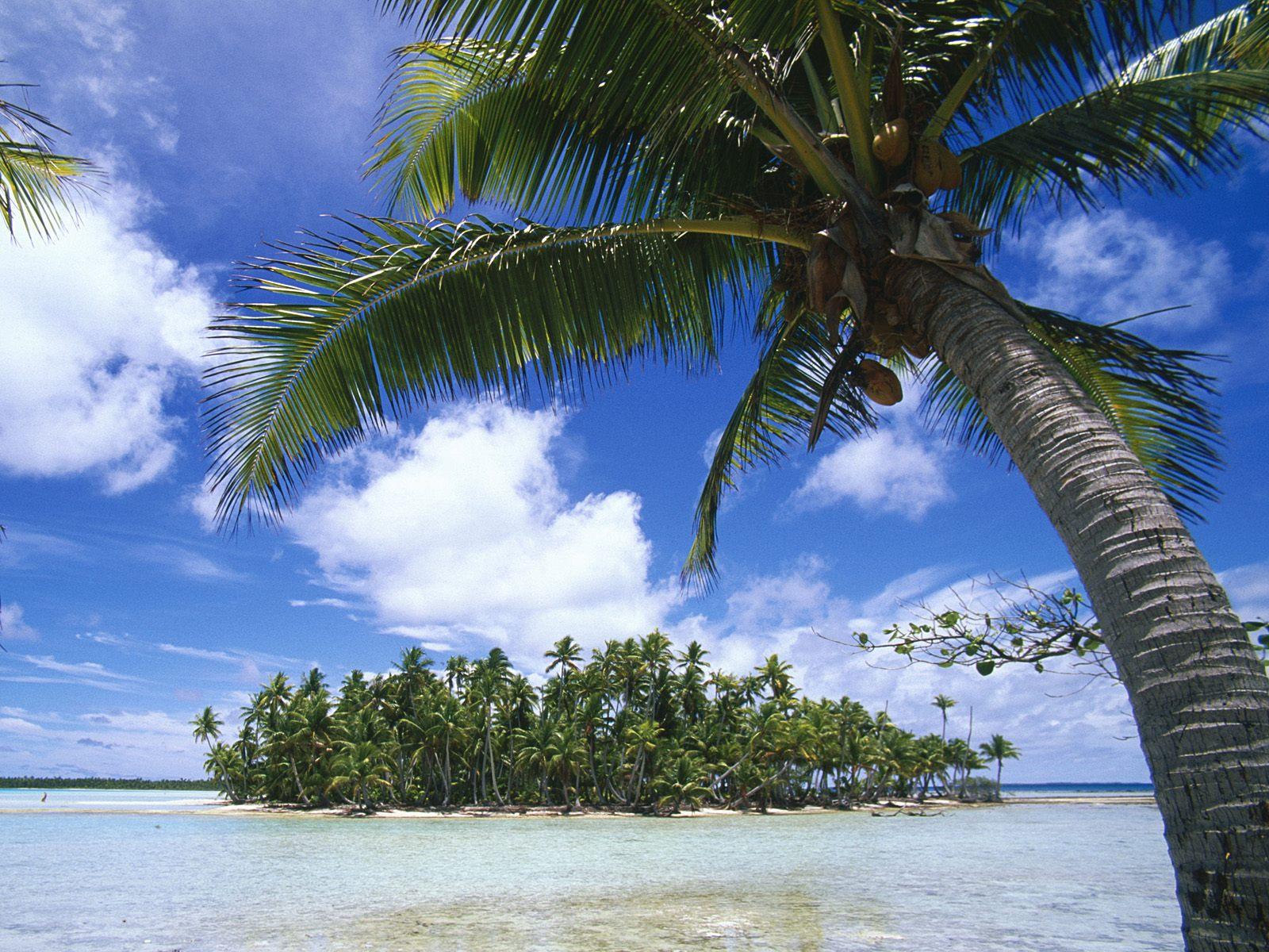 [Rangiroa,+Tuamotu+Islands,+French+Polynesia.jpg]