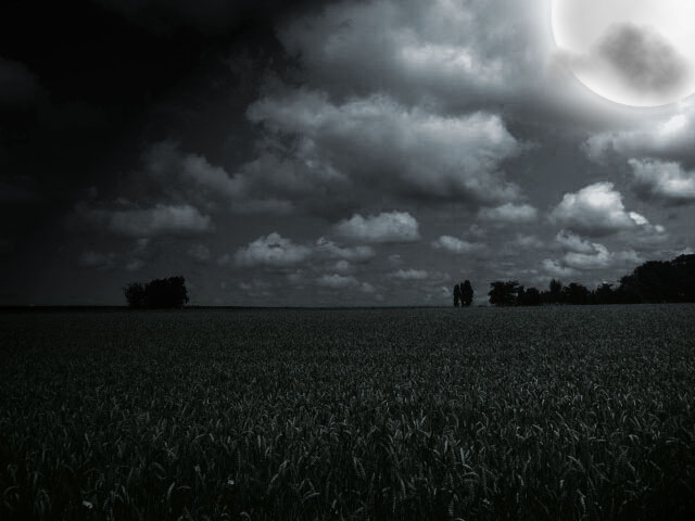 [nighttime+cornfield.jpg]
