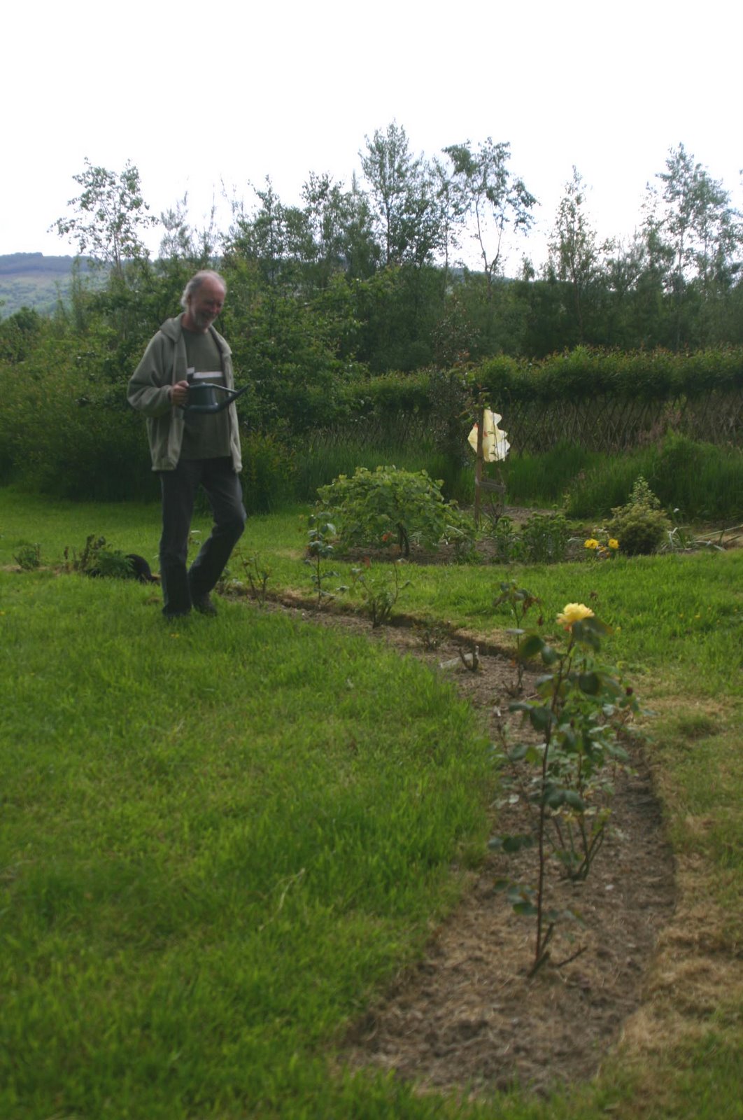 [The+Snake+Rose+Garden,+Jim+watering.jpg]