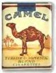 [camels.bmp]