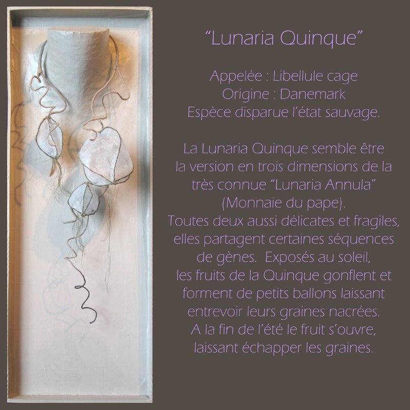 [Lunaria+Quinque++FR.jpg]