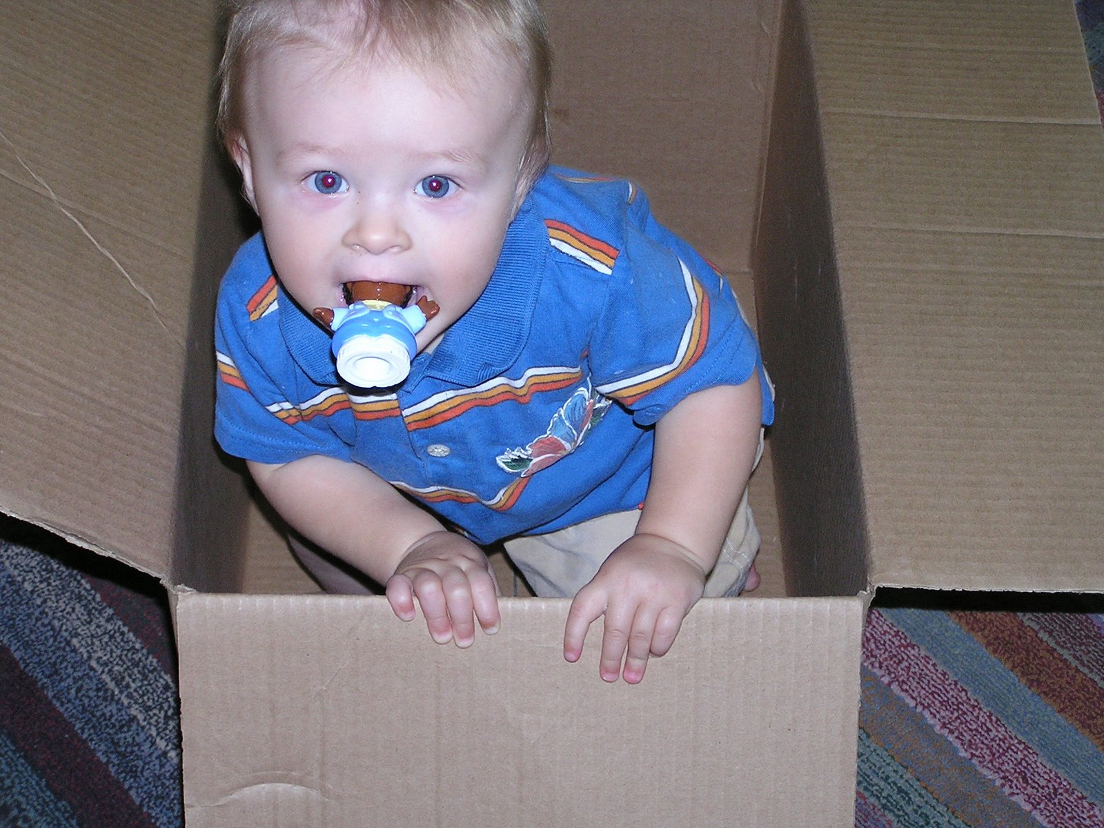 [here+is+my+baby+in+a+box.jpg]