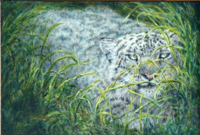 [walker-snowleopard-400x270+(2).jpg]