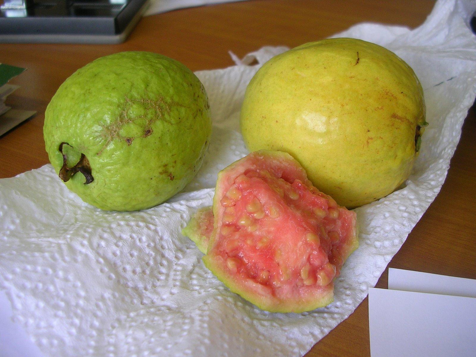 [Guava+season.JPG]