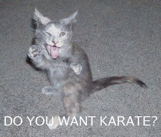 [karatecat2.jpg]