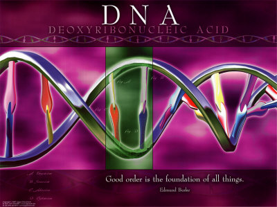 [03-PS101-2~DNA-Posters.jpg]