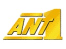 [Ant1+logo.jpg]