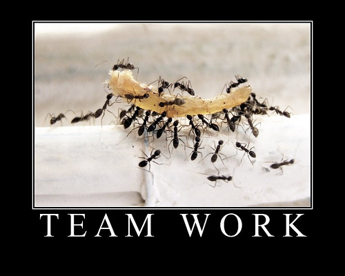[teamwork.jpg]