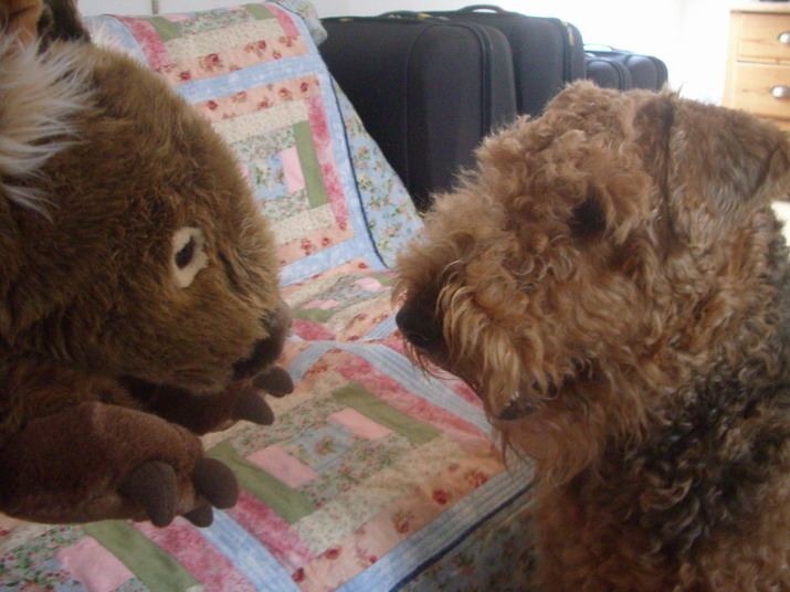 [wombat+and+molly.jpg]