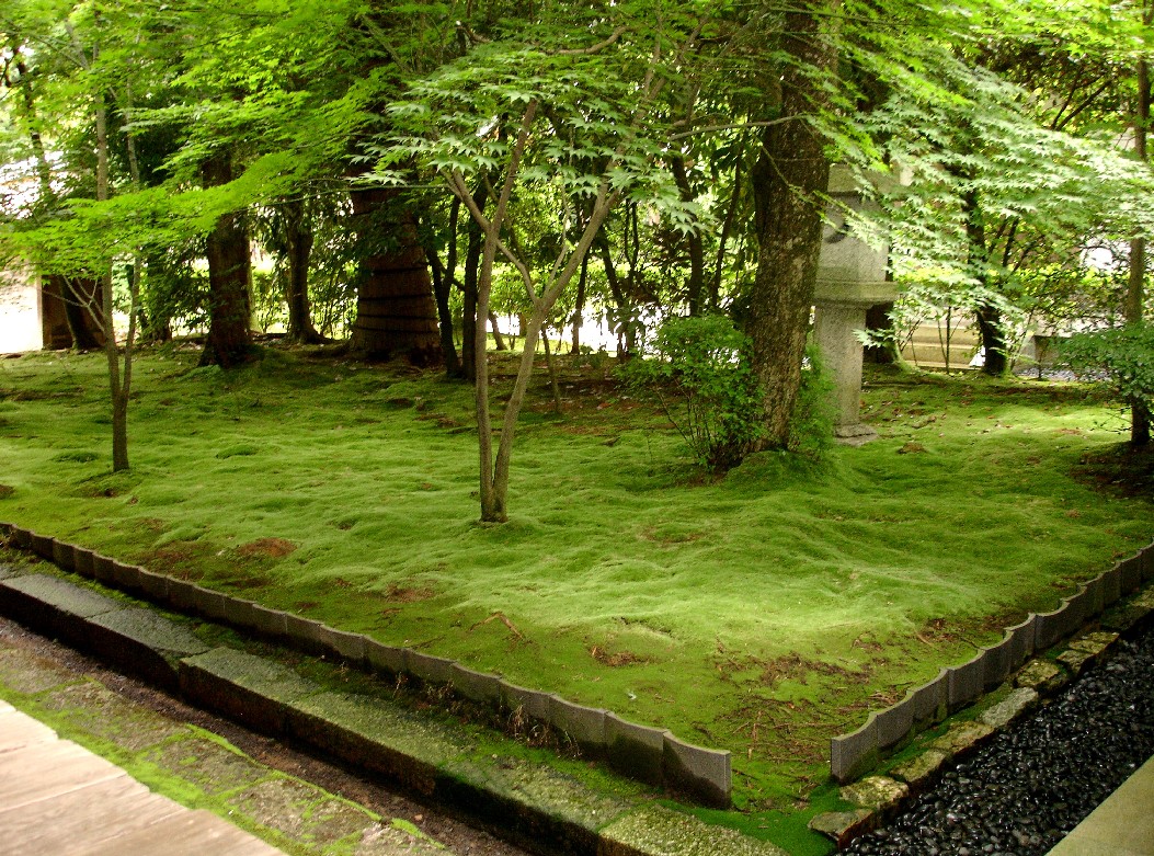 [07-12.ryonji+moss+garden.jpg]
