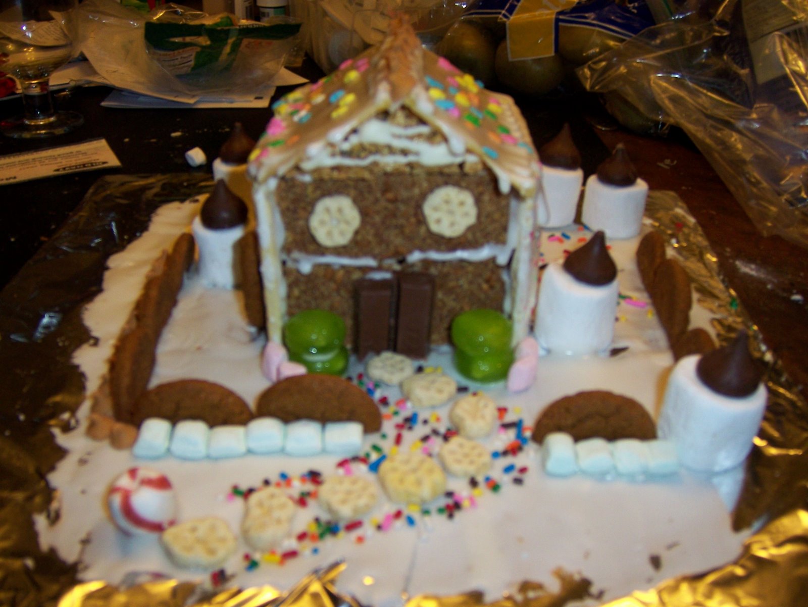 [not-gingerbread+house.JPG]