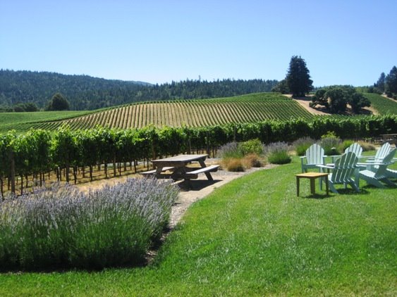 [Boonville_wine_country-california-vineyards-paradise.jpg]