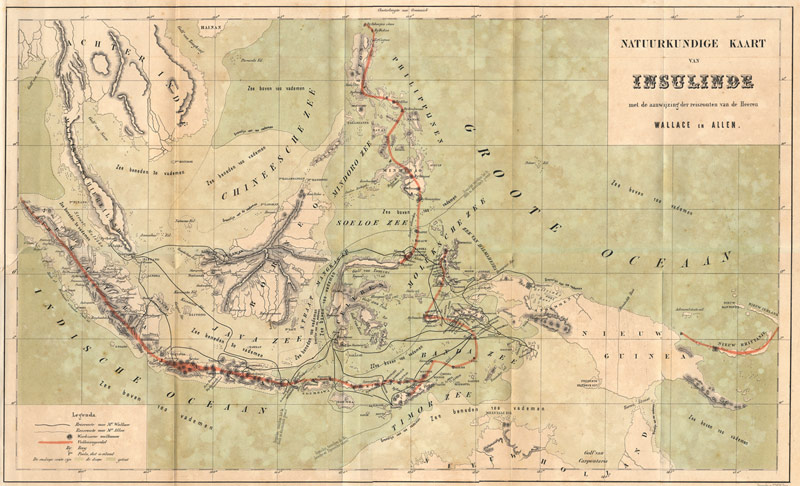 [Wallace_map_archipelago.jpg]