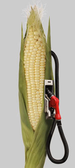 [bioethanol-cornfuelpump.jpg]