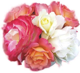 [bouquet-rosas.jpg]