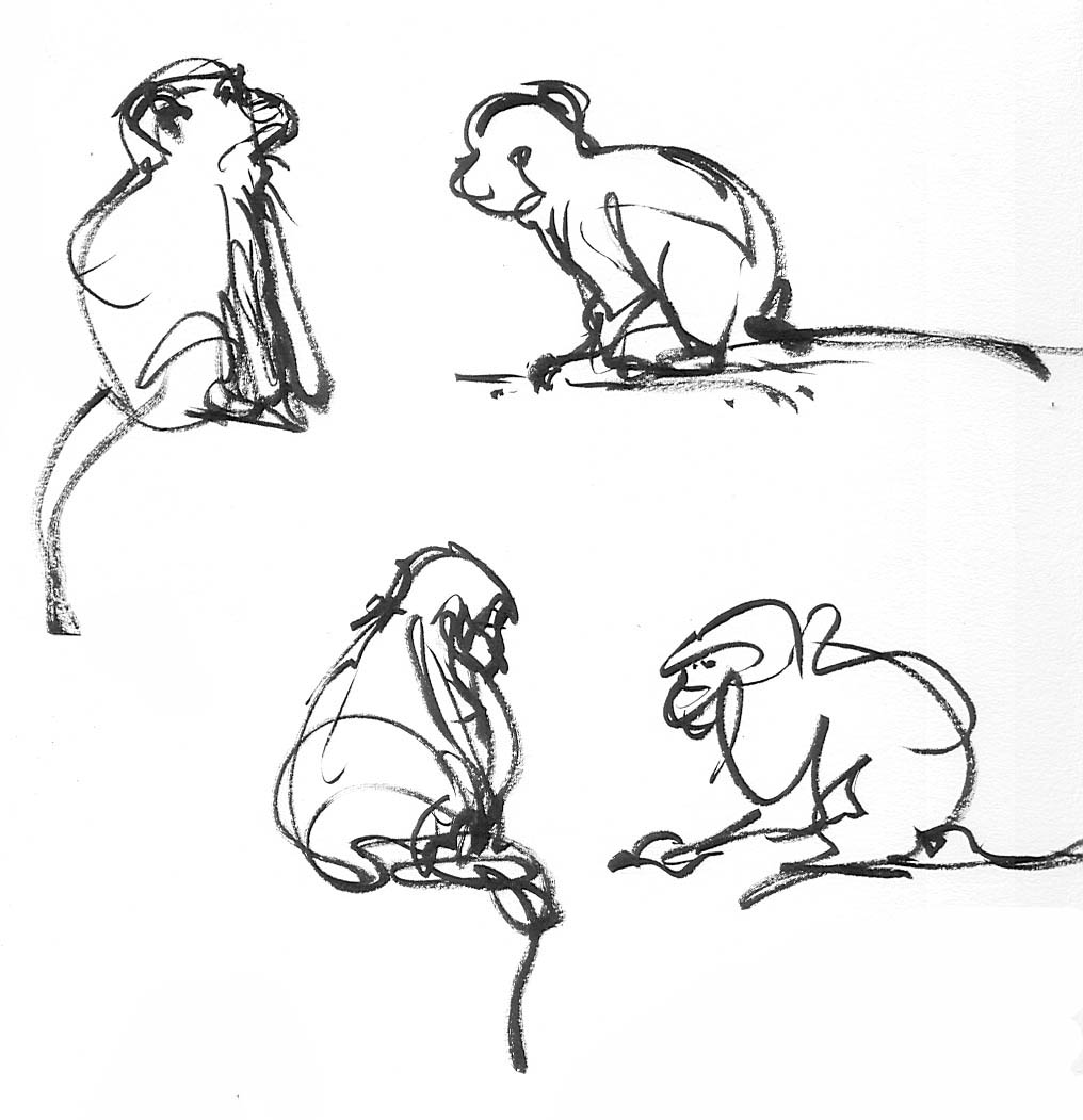 [monkeys3.jpg]