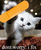 [cute+kitty2.jpg]