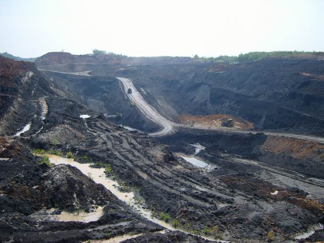 Borneo Coal Mining