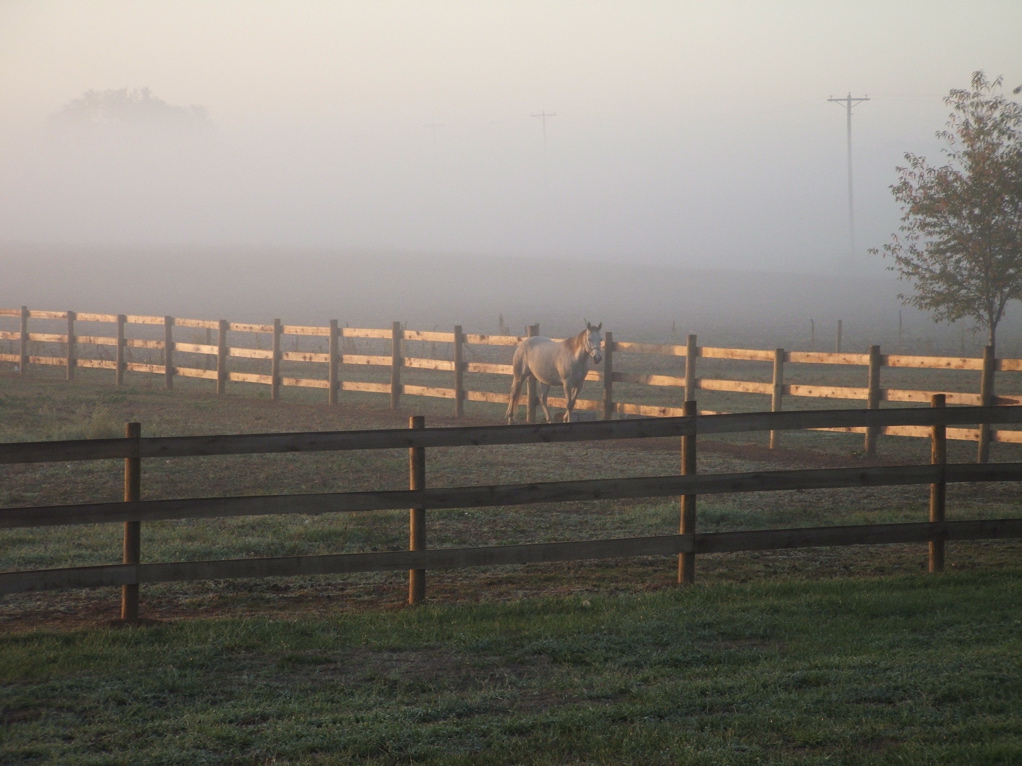 [foggy+morning.JPG]