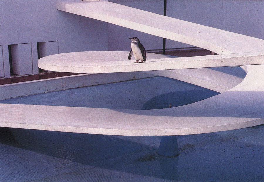 [london-zoo---penguin-pool-2.jpg]