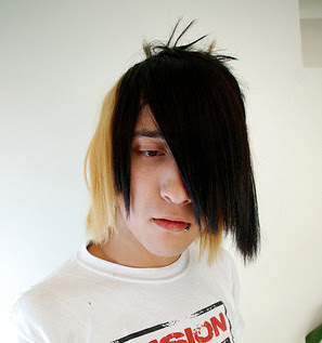 Emo hair cuts for guys