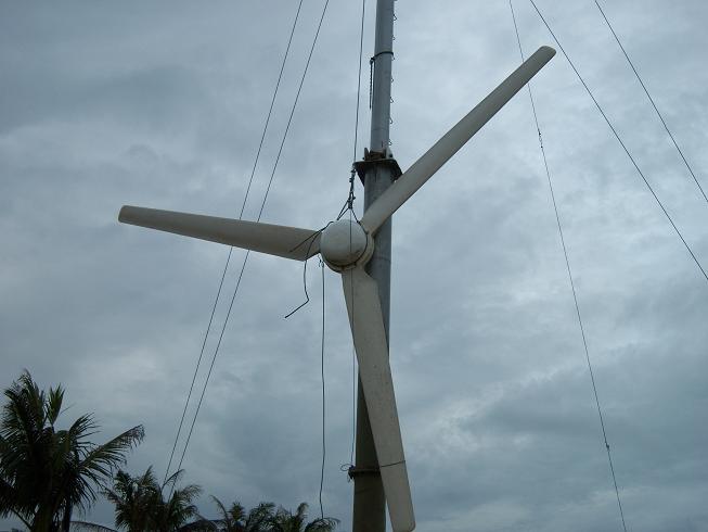 [Wind+Turbine+baling+baling.JPG]