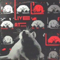 [Live+At+The+Rat.jpg]