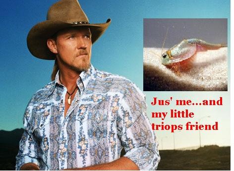 [Trace+Adkins-the+triops+configuration.+1a+.JPG]