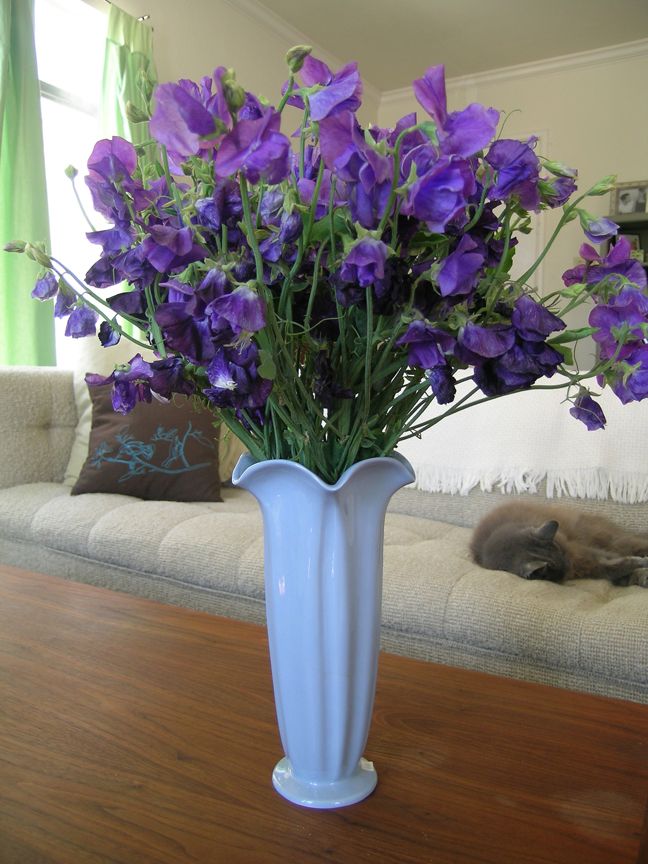 [blue+vase.jpg]