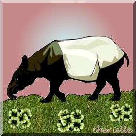 [c-tapir+noir-cherielle.jpg]
