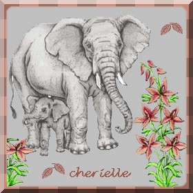 [c-elephant+etbebe-cherielle.jpg]