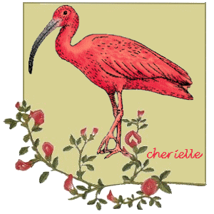 [c-ibis-cherielle.gif]