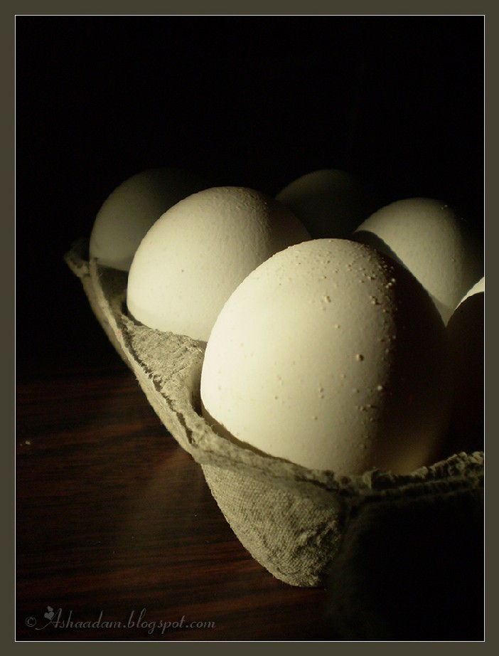 [eggs.jpg]