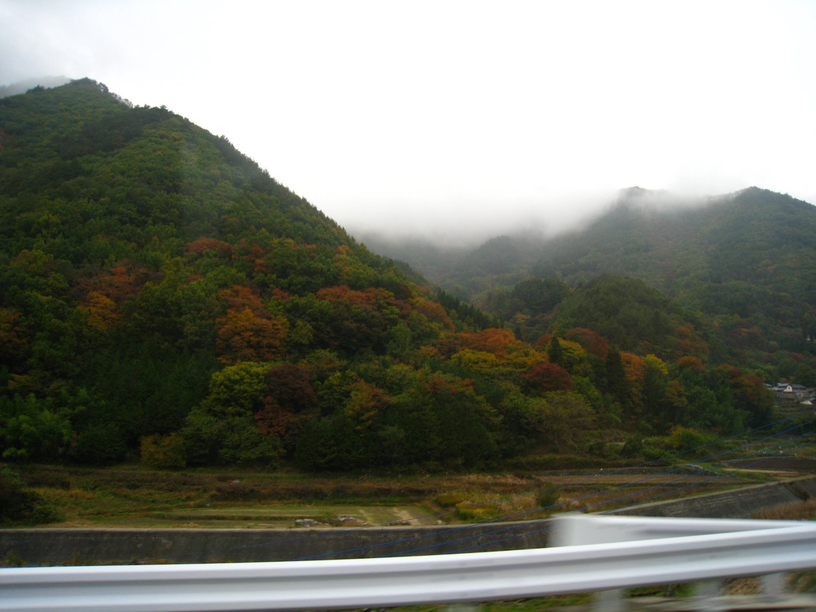 [hokuto+in+autumn+031.JPG]