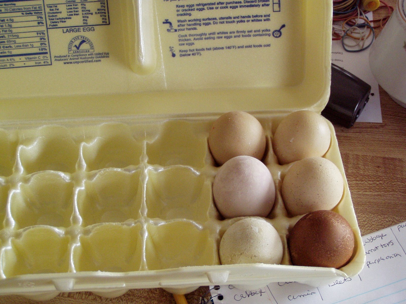 [eggs+2007+carton+2.JPG]