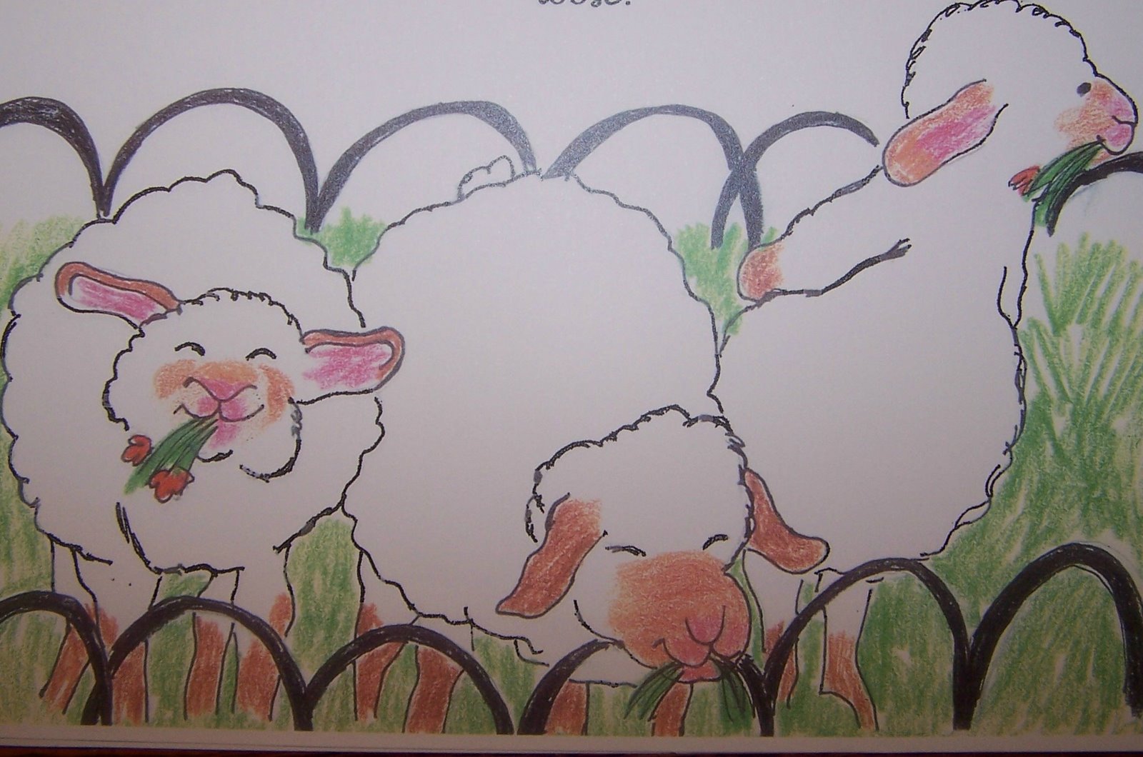 [sheep+crop.jpg]