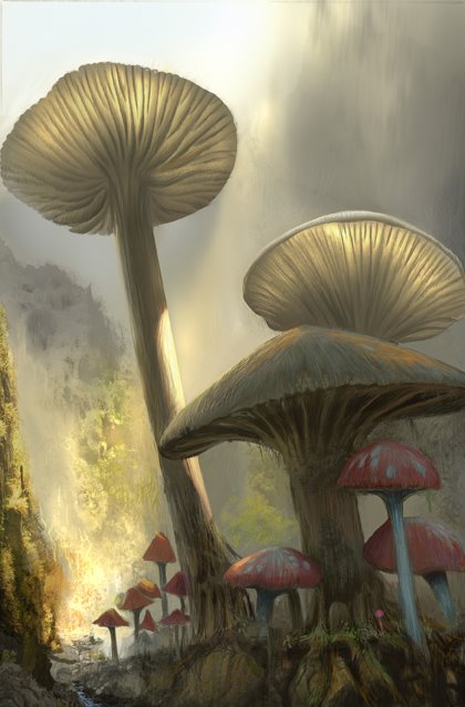[Wonderland-mushrooms.jpg]