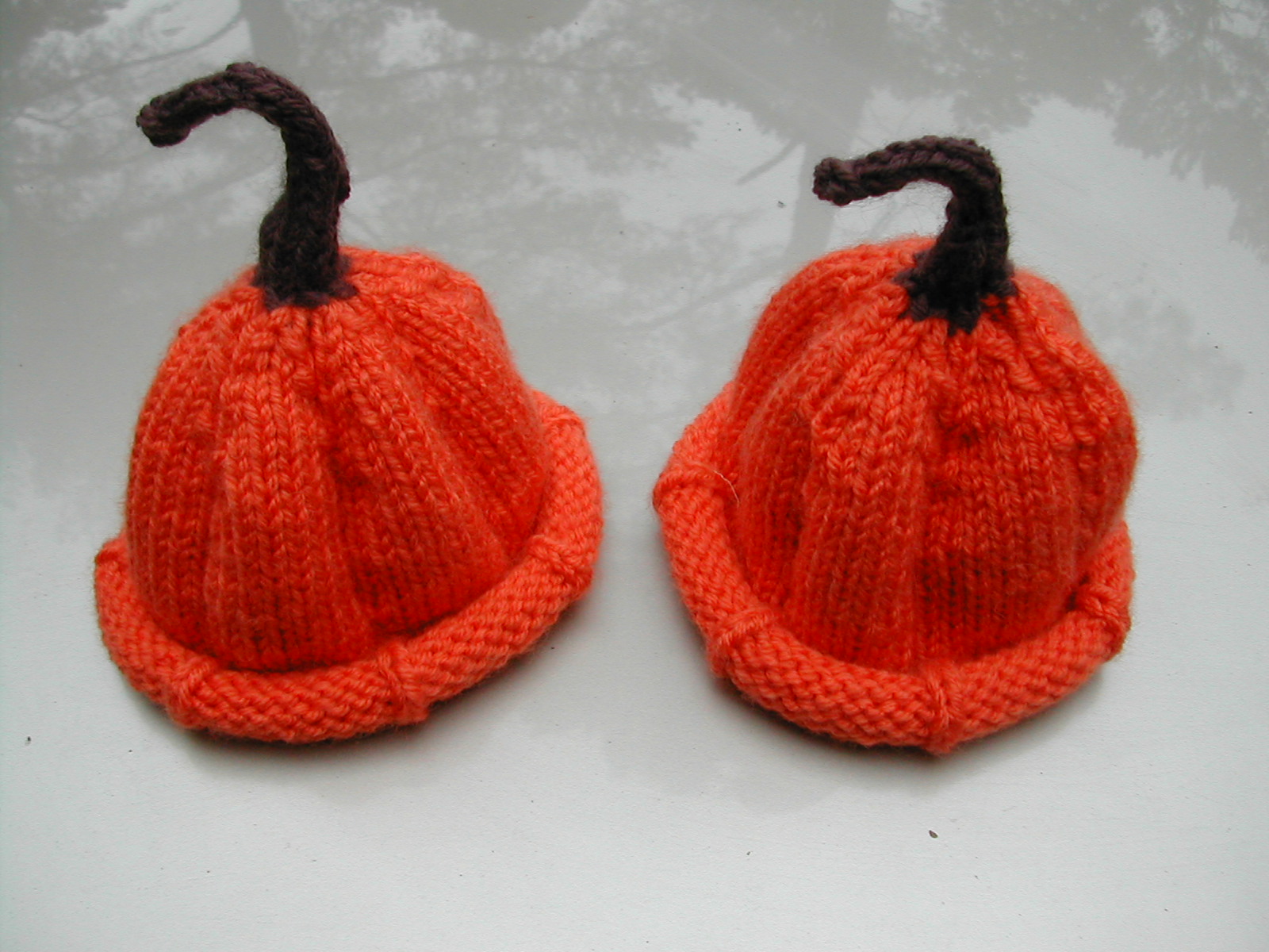 [Pumpkin+Hats.JPG]