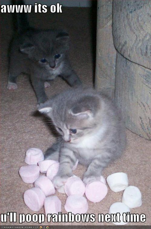 [funny-pictures-kittens-marshmallows-poop-rainbows.jpg]
