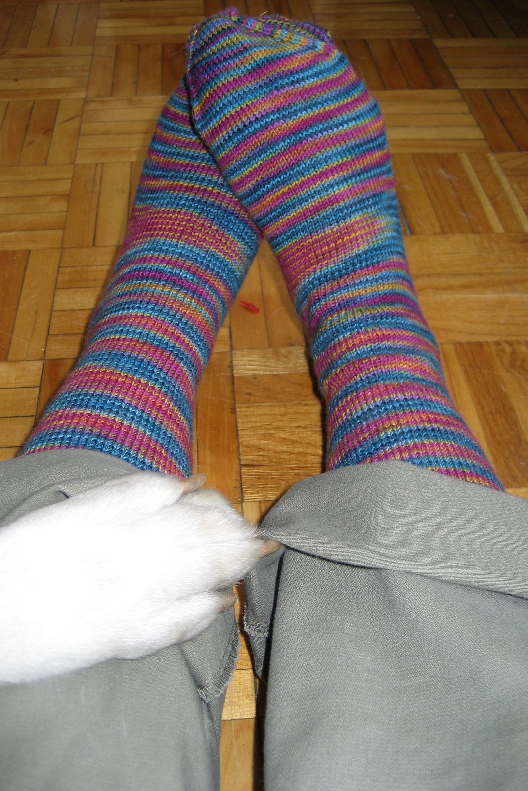 [nile+socks+001.jpg]