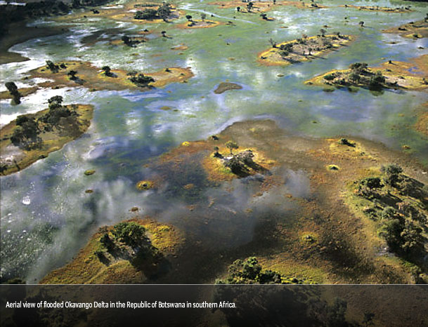 [Planet+Earth+-+Okavango.jpg]